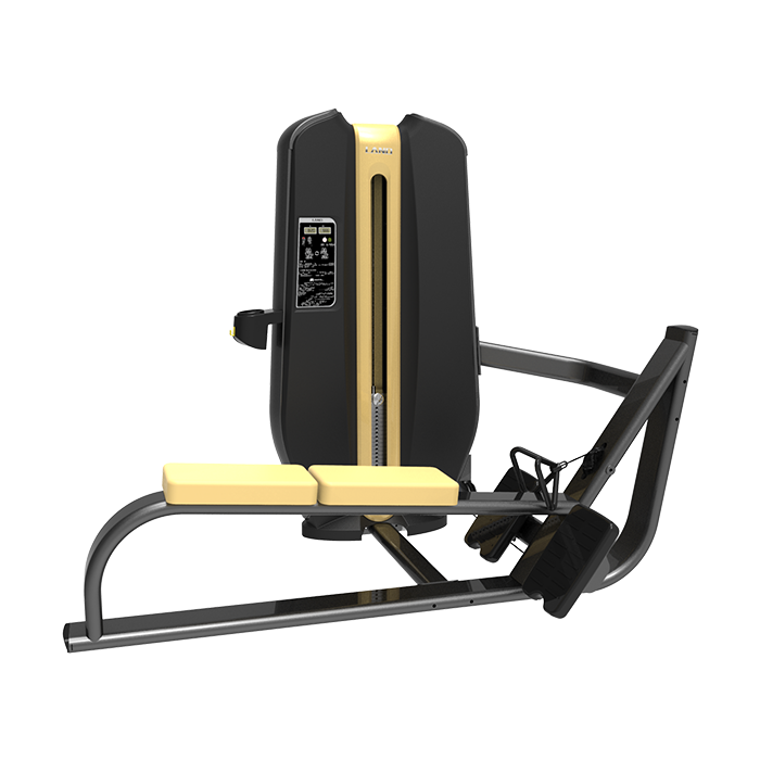 坐式低拉背练习器