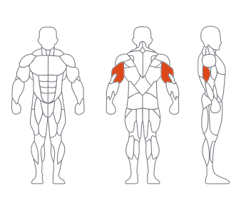 GL-7007三头下压训练器